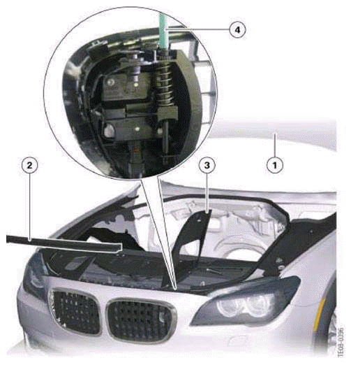 BMW Night Vision 2